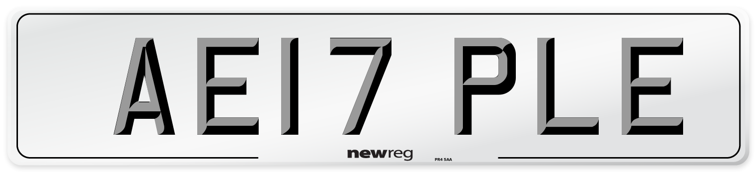 AE17 PLE Number Plate from New Reg